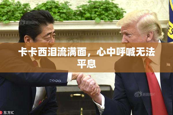 卡卡西泪流满面，心中呼喊无法平息