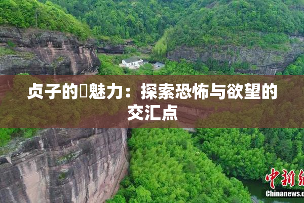 贞子的婬魅力：探索恐怖与欲望的交汇点