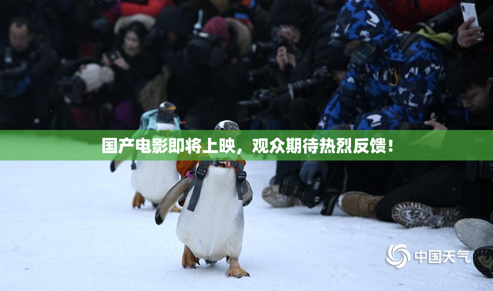 国产电影即将上映，观众期待热烈反馈！