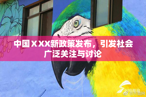 中国ⅩXX新政策发布，引发社会广泛关注与讨论