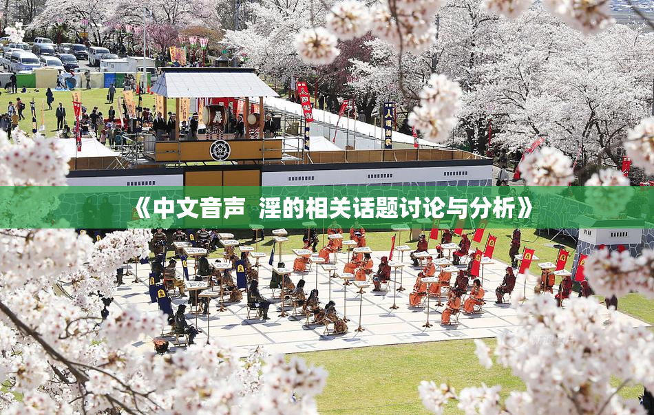 《中文音声  淫的相关话题讨论与分析》
