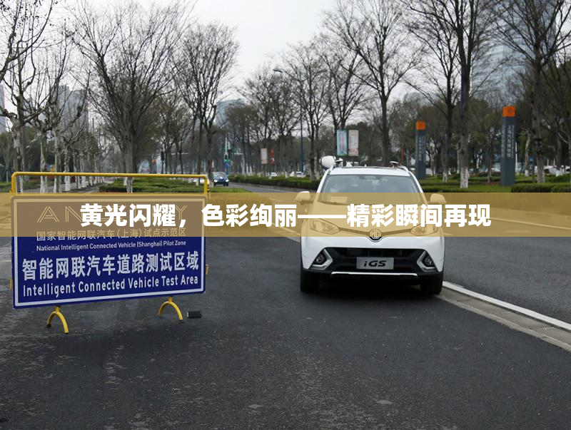 黄光闪耀，色彩绚丽——精彩瞬间再现