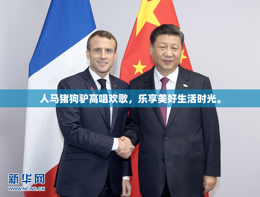人马猪狗驴高唱欢歌，乐享美好生活时光。