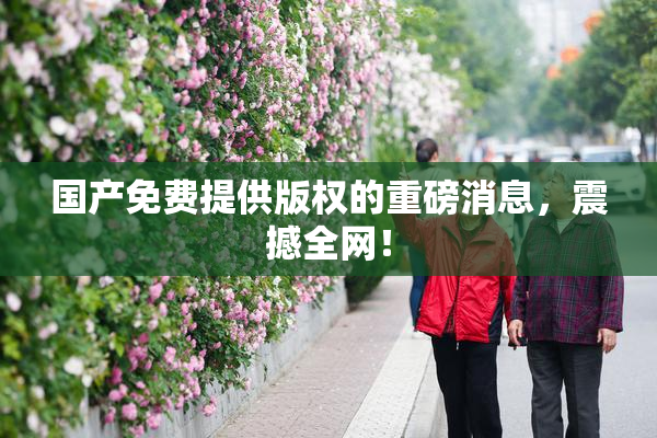 国产免费提供版权的重磅消息，震撼全网！