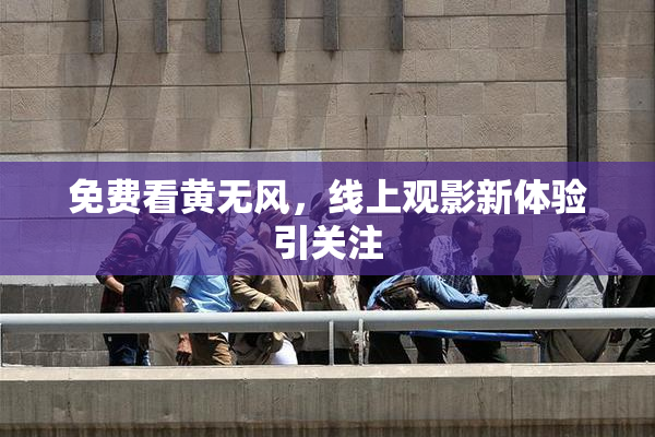 免费看黄无风，线上观影新体验引关注