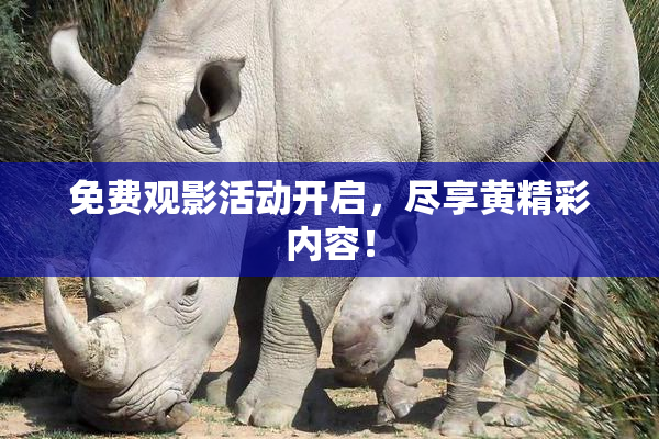 免费观影活动开启，尽享黄精彩内容！
