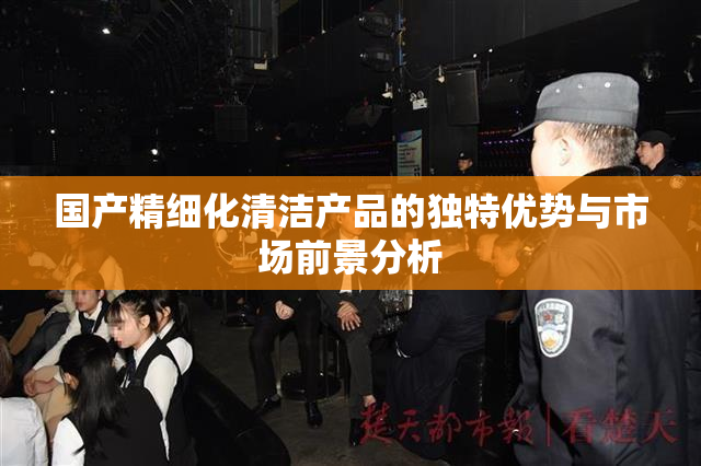国产精细化清洁产品的独特优势与市场前景分析