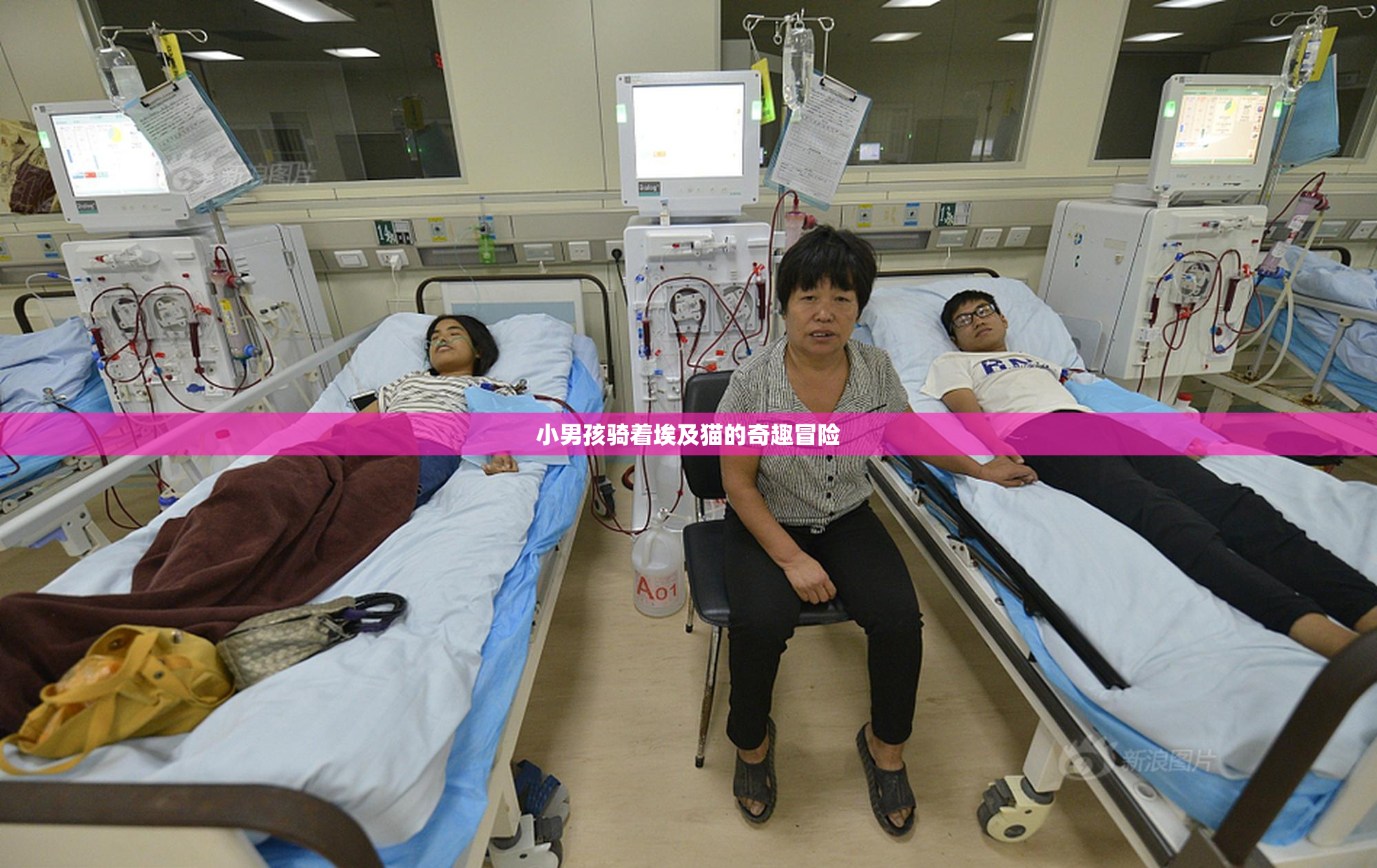 小男孩骑着埃及猫的奇趣冒险