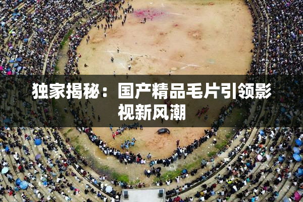 独家揭秘：国产精品毛片引领影视新风潮