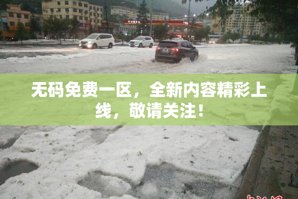 无码免费一区，全新内容精彩上线，敬请关注！