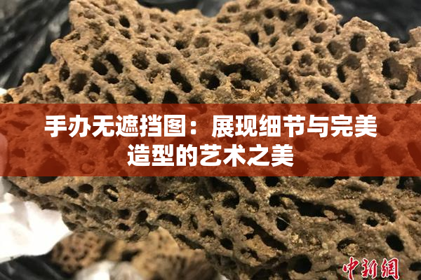 手办无遮挡图：展现细节与完美造型的艺术之美
