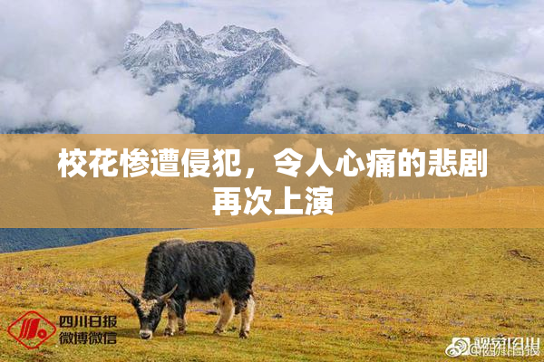 校花惨遭侵犯，令人心痛的悲剧再次上演