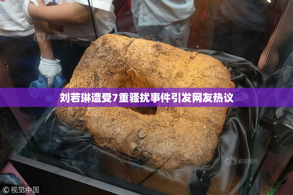 刘若琳遭受7重骚扰事件引发网友热议