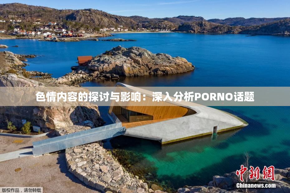 色情内容的探讨与影响：深入分析PORNO话题