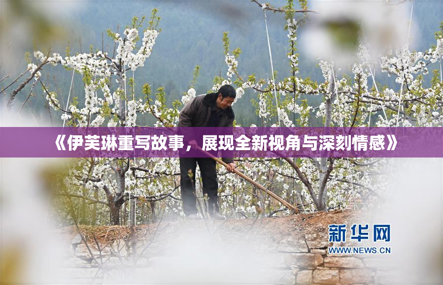 《伊芙琳重写故事，展现全新视角与深刻情感》