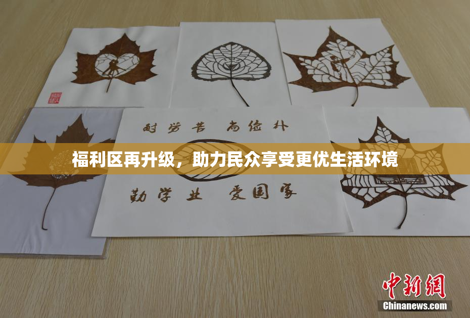 福利区再升级，助力民众享受更优生活环境