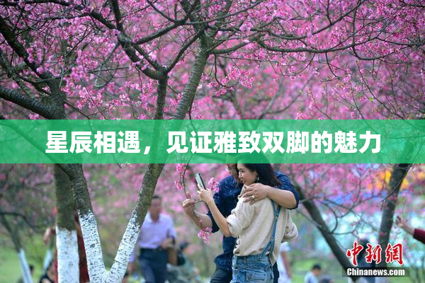 星辰相遇，见证雅致双脚的魅力