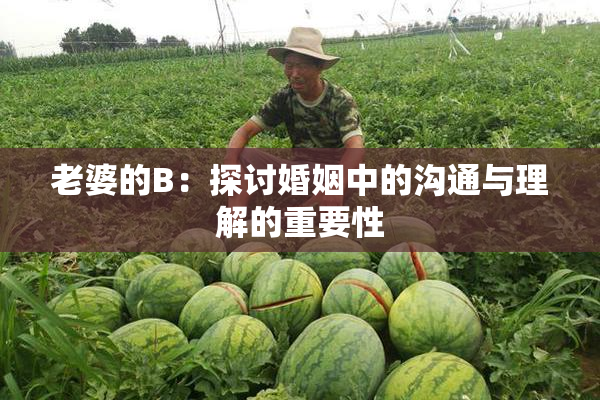 老婆的B：探讨婚姻中的沟通与理解的重要性