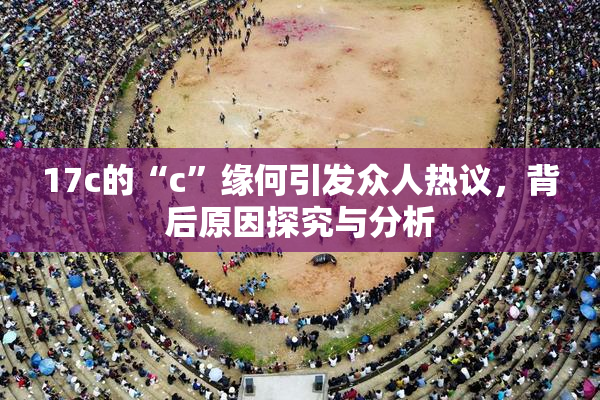 17c的“c”缘何引发众人热议，背后原因探究与分析