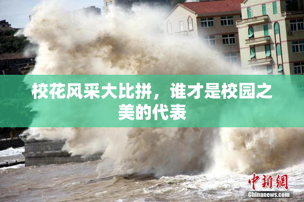 校花风采大比拼，谁才是校园之美的代表