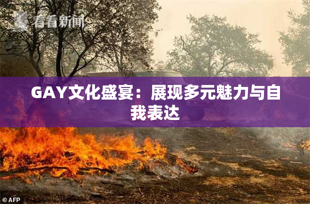 GAY文化盛宴：展现多元魅力与自我表达