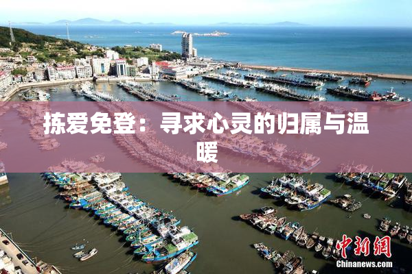 拣爱免登：寻求心灵的归属与温暖
