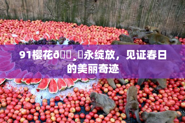 91樱花🌸‌永绽放，见证春日的美丽奇迹