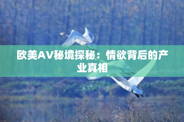 欧美AV秘境探秘：情欲背后的产业真相
