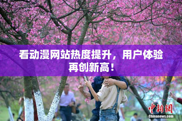 看动漫网站热度提升，用户体验再创新高！