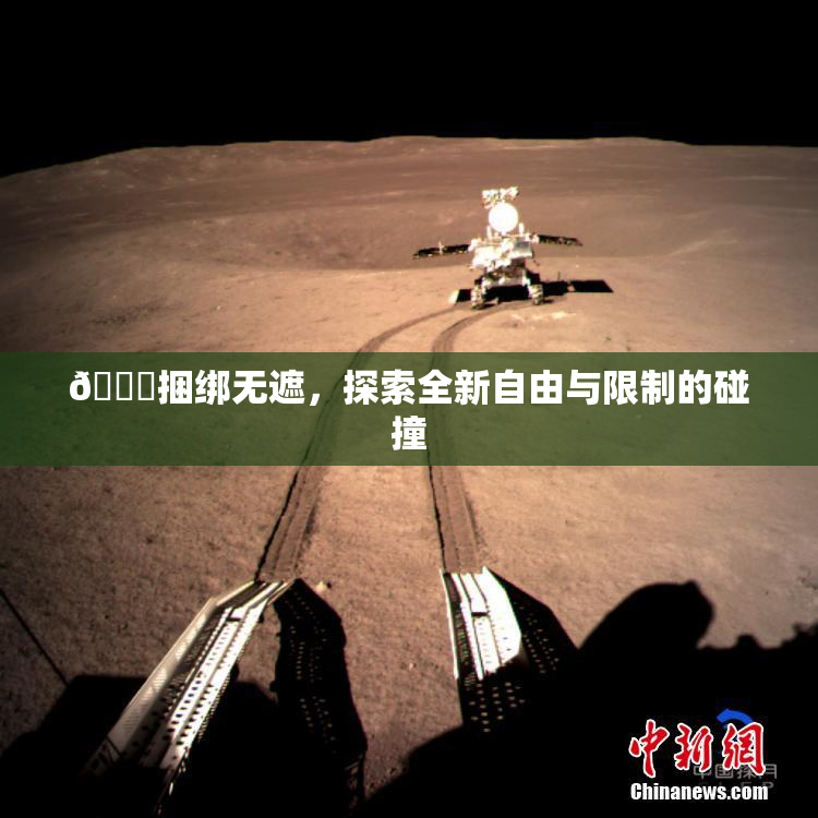 🔞捆绑无遮，探索全新自由与限制的碰撞