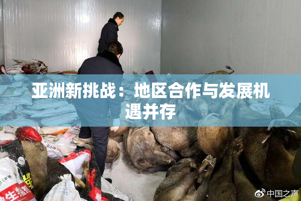 亚洲新挑战：地区合作与发展机遇并存
