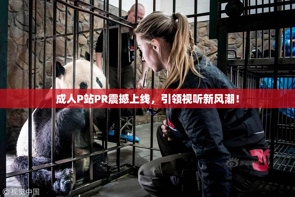 成人P站PR震撼上线，引领视听新风潮！