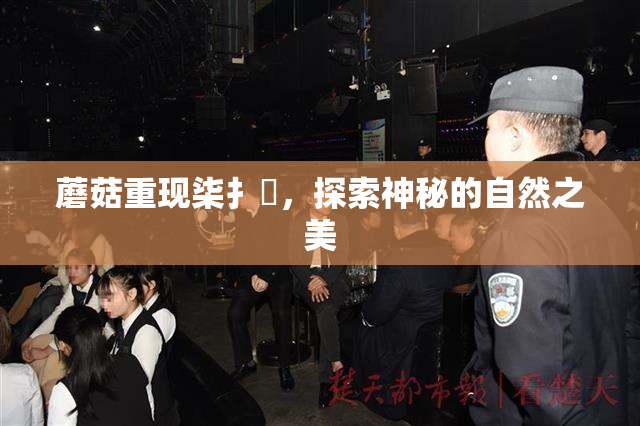 蘑菇重现柒扌畐，探索神秘的自然之美