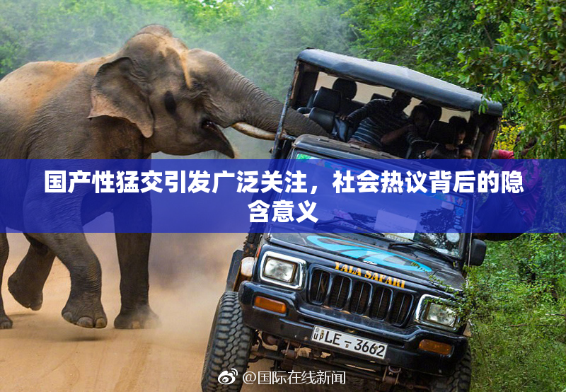 国产性猛交引发广泛关注，社会热议背后的隐含意义