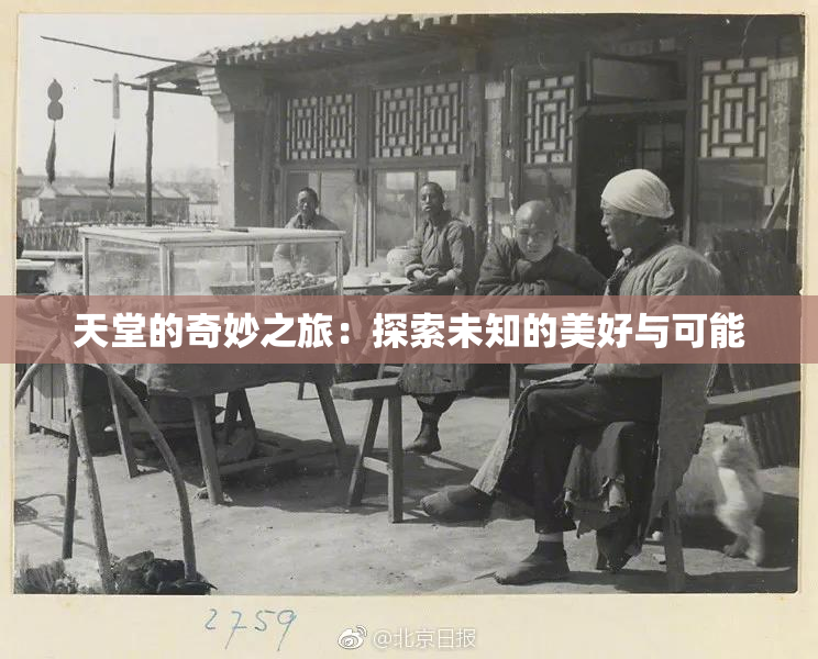 天堂的奇妙之旅：探索未知的美好与可能