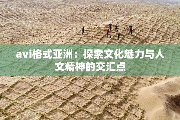 avi格式亚洲：探索文化魅力与人文精神的交汇点