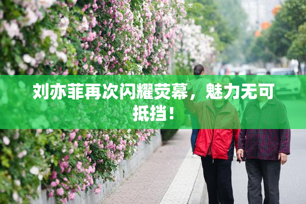 刘亦菲再次闪耀荧幕，魅力无可抵挡！