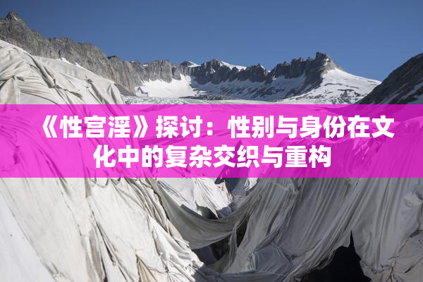 《性宫淫》探讨：性别与身份在文化中的复杂交织与重构
