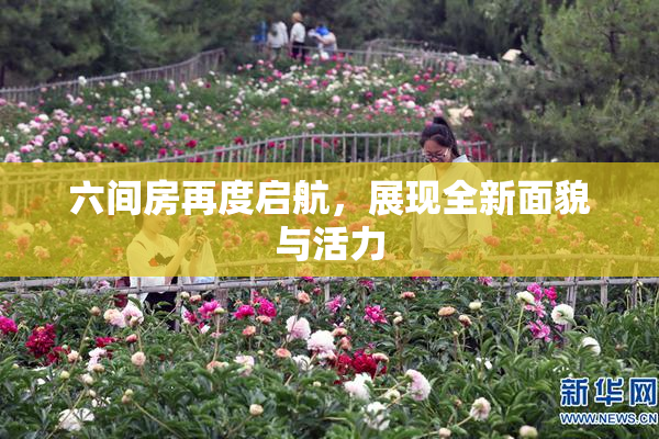 六间房再度启航，展现全新面貌与活力
