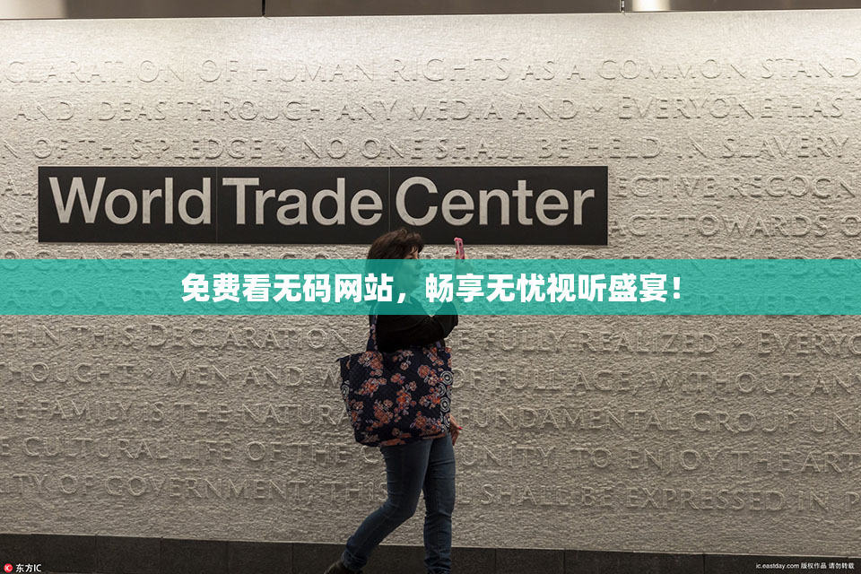 免费看无码网站，畅享无忧视听盛宴！