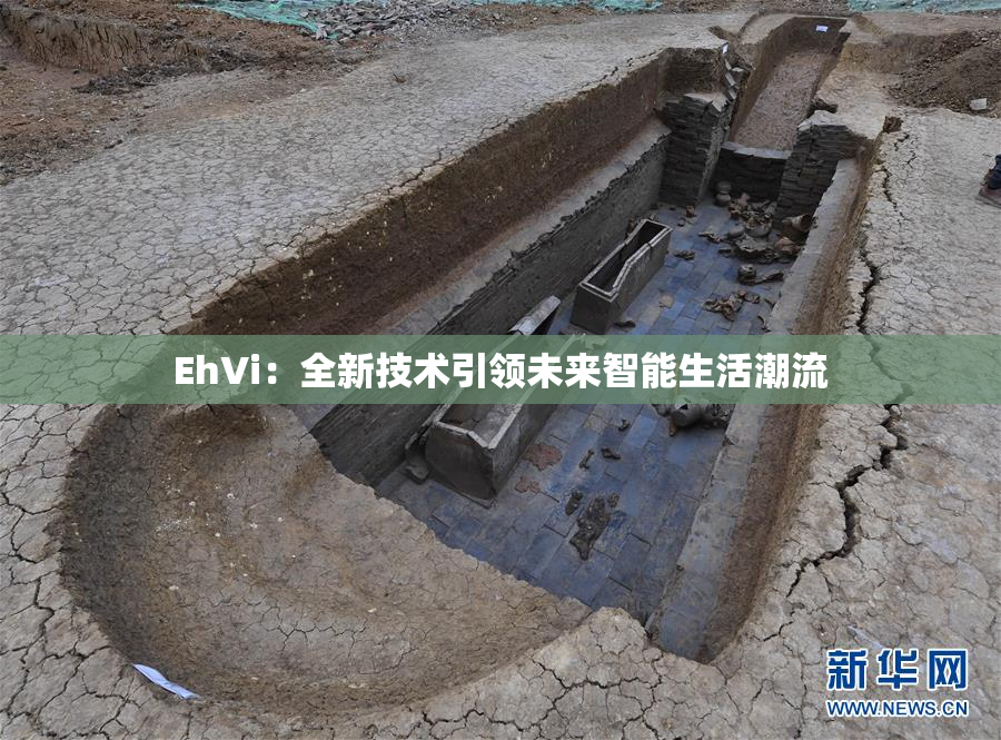 EhVi：全新技术引领未来智能生活潮流