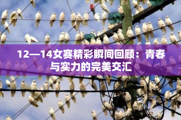 12—14女赛精彩瞬间回顾：青春与实力的完美交汇