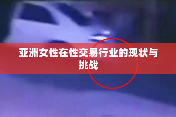 亚洲女性在性交易行业的现状与挑战