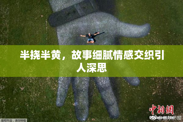 半挠半黄，故事细腻情感交织引人深思