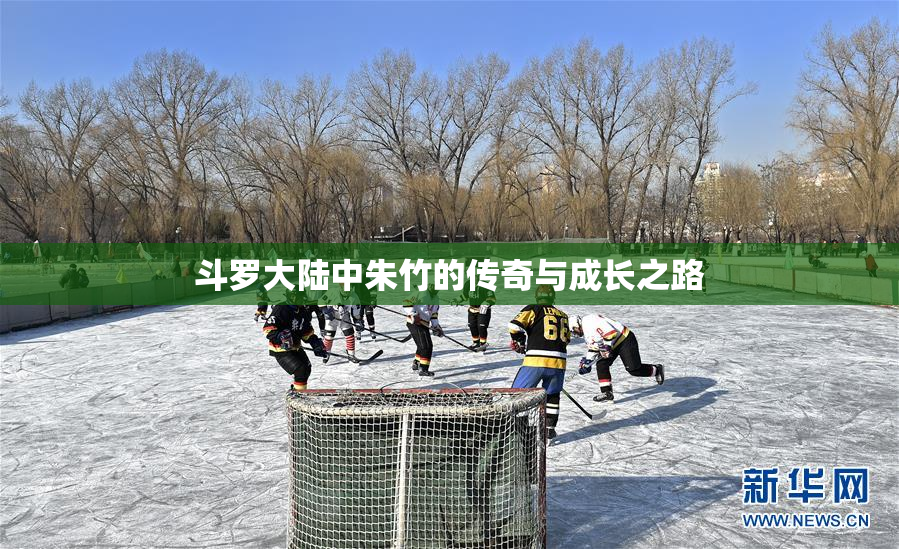 斗罗大陆中朱竹的传奇与成长之路