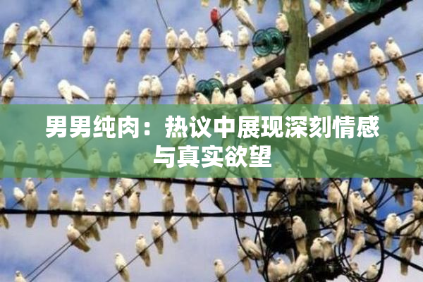 男男纯肉：热议中展现深刻情感与真实欲望