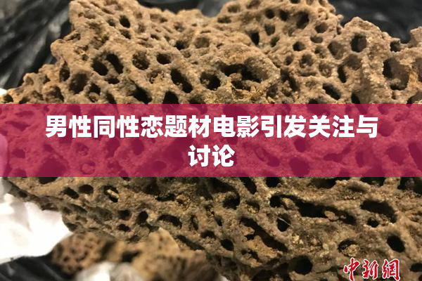 男性同性恋题材电影引发关注与讨论