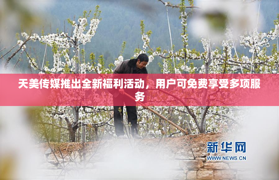 天美传媒推出全新福利活动，用户可免费享受多项服务