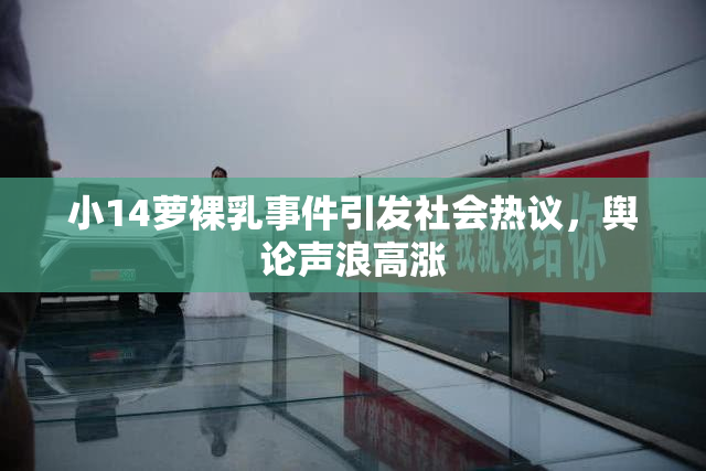 小14萝裸乳事件引发社会热议，舆论声浪高涨