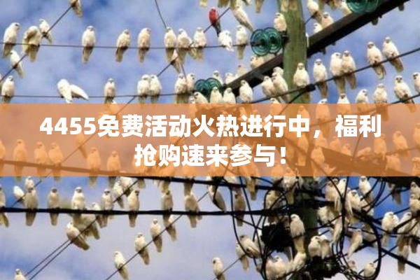 4455免费活动火热进行中，福利抢购速来参与！